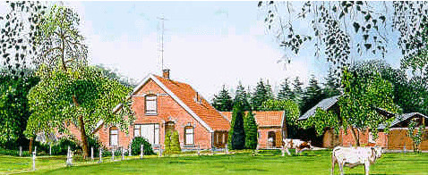 Boerderij Koeien
